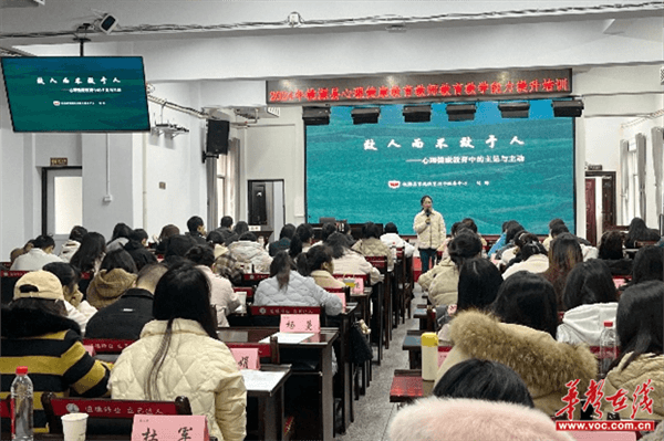 桃源县2024年心理健康教育教师能力提升培训圆满结束(图3)