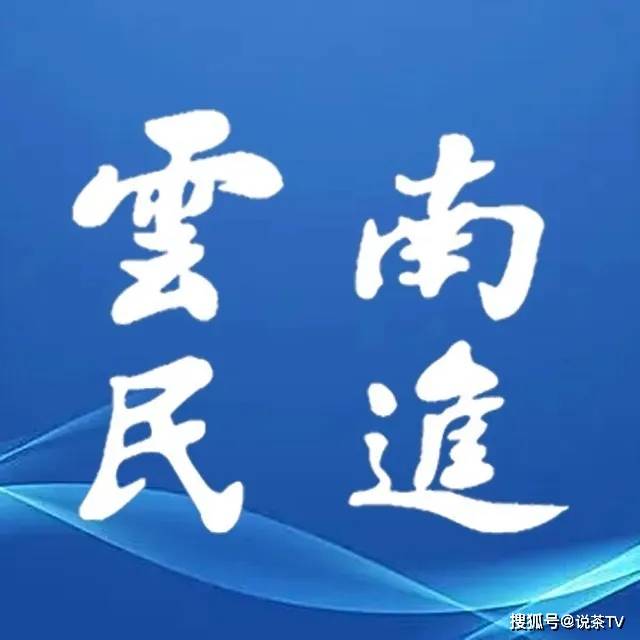 新利体育平台“两会”精彩回顾这些提议带来茶业发展利好(图21)
