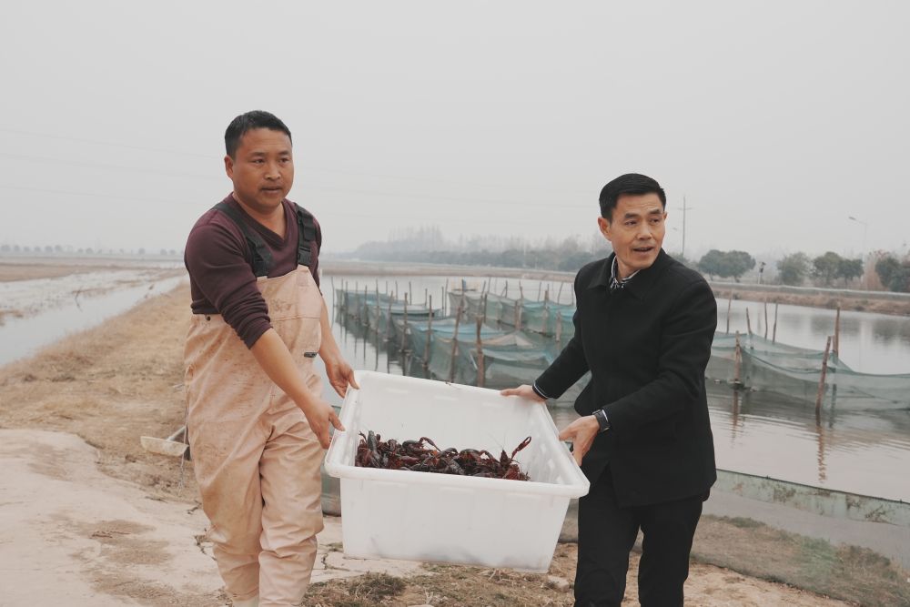 新利体育网址新春走基层｜小龙虾错峰上市 为春节餐桌增添红火风味(图3)