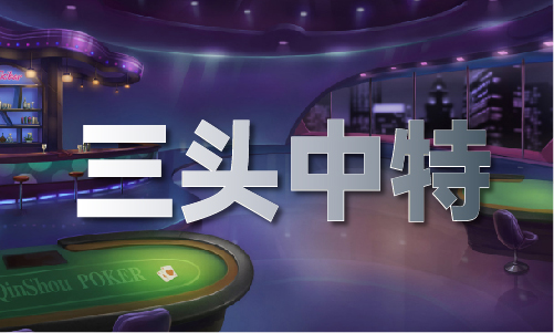 新春见香港精准马料闻）贵州“村T”秀年味(图1)