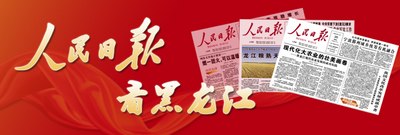 黑龙江开展农村基层党组织网络培训新利体育网址(图1)