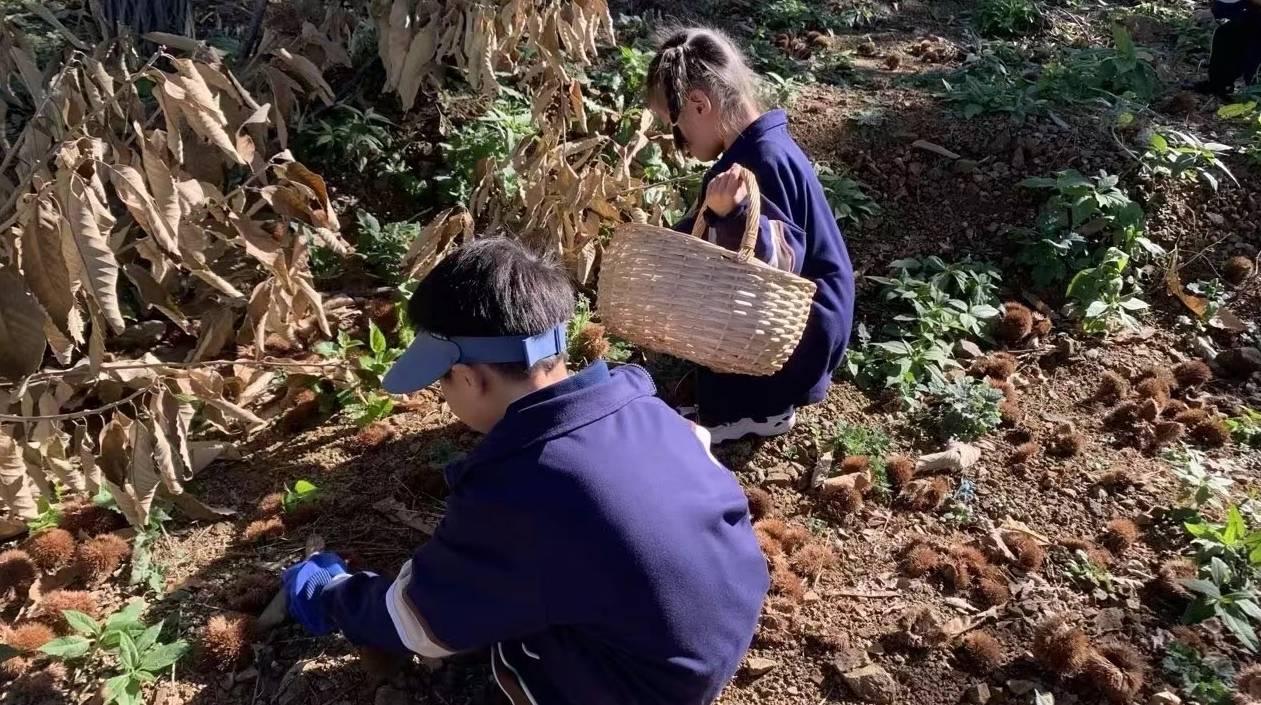 育汇优选：高度重视研学实践教育活动（二）(图2)