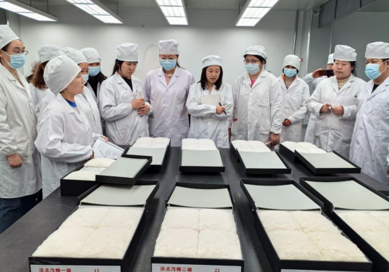 新利体育下载新疆巴州纤维检验所开展专业技术人员培训(图1)