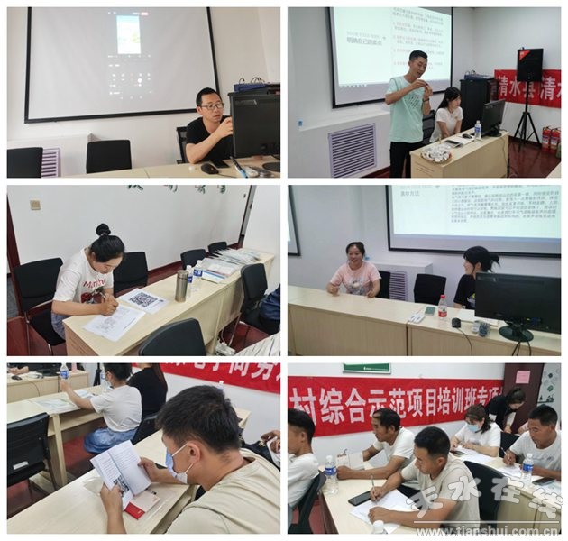 保险中介痼疾：代理人资质“放水”与跨区展业疑云