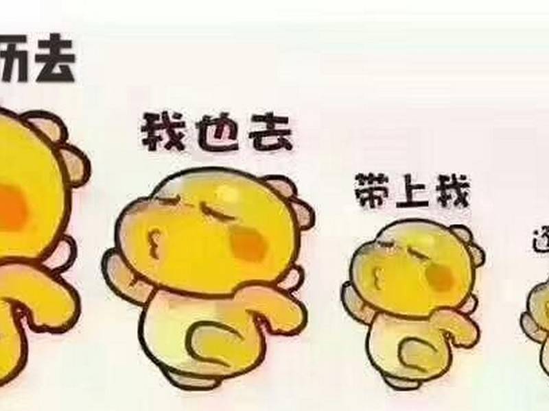 山东省继续教新利体育平台育本科培训机构(图1)