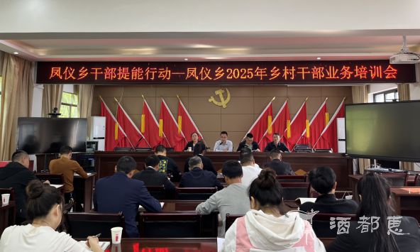 叙州区凤仪乡：开展专题培训 赋能乡村干部业务能力提升(图1)