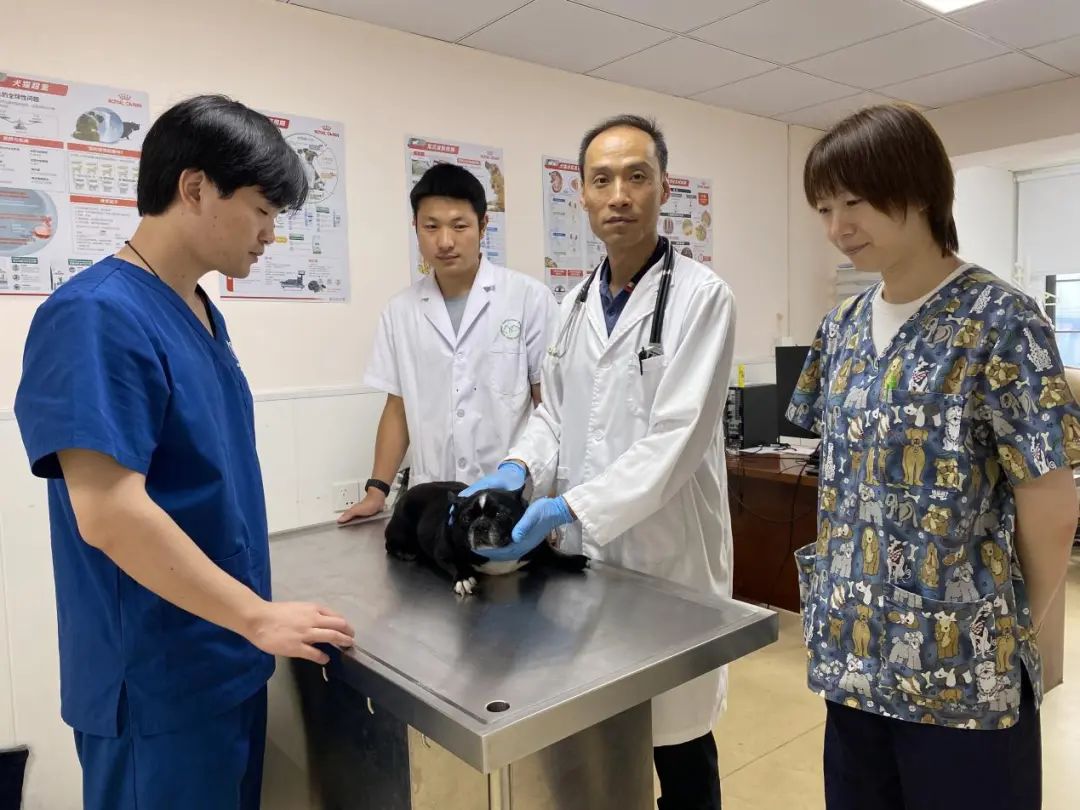 做未来工匠领路人争当职教先锋用心用情育英新利体育官网才……走近这些教师人才(图2)