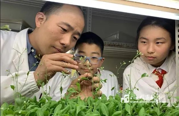 “双减”三周年③开拓社会大课堂：校内外合力探索科学教育新范式(图2)