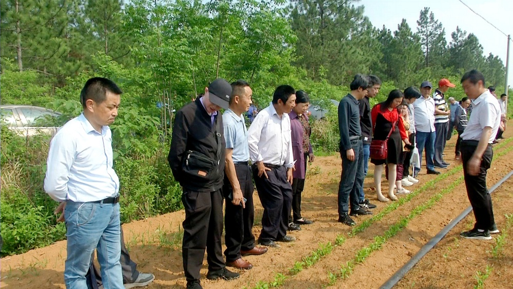 桐城市残联：送上实用技术培训 助力残疾人创业就业(图2)